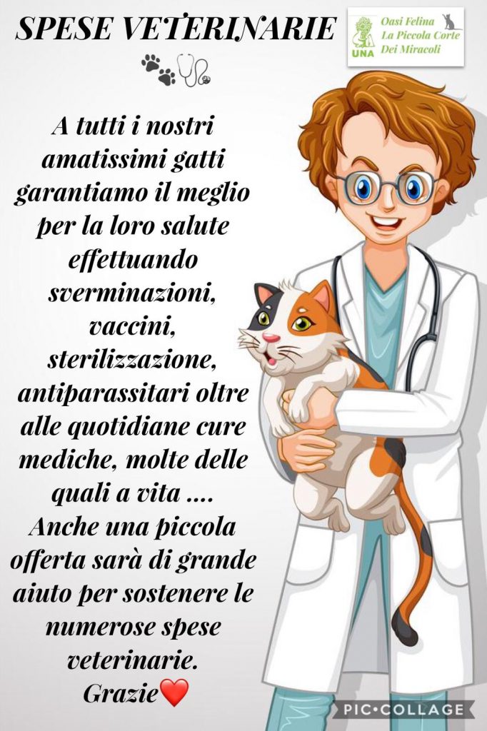 Cari aMici 🐱le emergenze veterinarie per aiutare i nostri amati gatti sono sempre tante ma cerchiamo di non fargli mancare mai nulla...chiunque può aiutarci con un piccolo contributo per noi sarà di enorme aiuto .
Grazie a chi ci potrà aiutare 🙏💖
Qui sotto il link dove potete fare la donazione comodamente da casa 😁altrimenti contattateci per passare presso l’oasi.
Si possono fare donazioni anche attraverso Paypal: paypal.me/lapiccolacorte