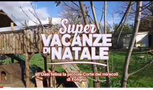 SUPER VACANZE DI NATALE
ALL’OASI FELINA LA PICCOLA CORTE DEI MIRACOLI

Attesissimo Film di Natale, prodotto dall’Associazione UNA Foligno ODV, con la Regia di Giorgio Polli e Foligno City. 🐾🐾https://youtu.be/Kpow7iHUS3I

Attori protagonisti: MILK , ARAMIS, ASTREA, CORDELIA, SCOOBY, CATULLO, OSCAR, STELLINO, MUFFIN, MILO, JUWE, BULINO, CLOE, BAD, MIMMO, NANNI, BIANCA, OLIVIA, ZARA, ZOE, MANGO, UGO, JACQUELINE, CICCIOTELLA, MAMMA E CUCCIOLI, NANÁ, DIAMANTE, MIA, MERCUZIO, ROBIN, ET, BIZET, STELLA, PASQUALINO, CUMINO, SPARTACO, GARIBALDI, DALILA. 💗😻

Costumi: MICIO MIAO COLLEZIONI Autumn/Winter 2020-2021 😹

VI AUGURIAMO UNA BUONA VISIONE
