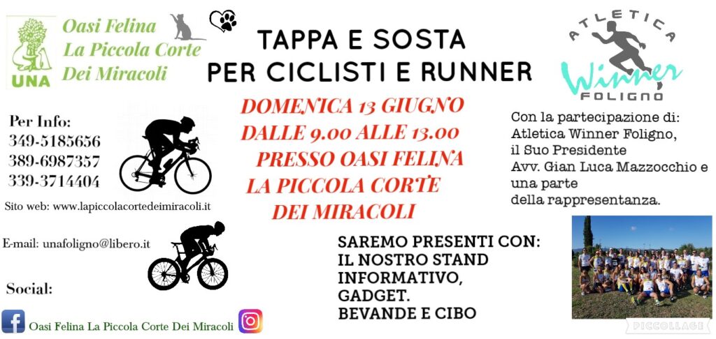 TAPPA E SOSTA PER CICLISTI E RUNNER
Carissimi Amici, Sostenitori, Visitatori, per chi ci segue sui Social, dopo una lunga assenza per causa Covid-19, con gli eventi, iniziative , siamo tornati con la nostra prima iniziativa.
Per tutti gli amanti del ciclismo e della corsa, l’Associazione UNA Foligno ODV/Oasi Felina La Piccola Corte Dei Miracoli, ha organizzato per l’intera mattinata(dalle 9.00 alle 13.00) del 13 Giugno 2021 una tappa e sosta presso l’Oasi Felina. Un’apertura al pubblico sia per gli amanti della bicicletta e della corsa, ma anche per tutti coloro che vogliano farci visita.
Come accoglienza, offriremo bevande fresche, spremute, caffè. Come cibo ci saranno stuzzichini, tramezzini di verdure pizzette. Il tutto in norma HCCP e per il Covid verrà posto all’ingresso il sapone igienizzante e chi non sarà munito di mascherina saremo noi a consegnarla.
La permanenza di voi visitatori, Runner e Ciclisti sarà dedicata anche a far conoscere il nostro operato, la struttura come è suddivisa, il nostro prendersi cura dei gatti abbandonati, mostrare le infermerie e i luoghi di isolamento per i gatti che hanno bisogno di cure con farmaci e cibo particolare. Ovviamente non mancheranno le coccole per i nostri mici e per chi vorrebbe spazzolarli.
Sarà allestito il nostro banchetto con le relative informazioni inerente all’Oasi Felina, per il tesseramento. In esposizione non mancheranno i gadget dell’Oasi Felina da poter acquistare per poter sostenere le nostre e il nostro futuro. Ad ogni visitatore verrà consegnata una busta con le relative informazioni inerenti al 5x1000 e per le donazioni.
A caratterizzare la mattinata sarà presente una rappresentanza dell’Atelica Winner Foligno, insieme al suo Presidente, Avv. Gian Luca Mazzocchio. Saremo lieti della loro presenza.
Una mattinata che unisce Sport, Natura e Animali e in compagnia.
Grazie a tutti coloro che parteciperanno.
Per informazioni:
349-5185656
389-6987357
339-3714404
E-mail: unafoligno@libero.it
Social:
Facebook: Oasi Felina La Piccola Corte Dei Miracoli
Instagram: Oasi Felina La Piccola Corte Dei Miracoli
Sito web: www.lapiccolacortedeimiracoli.it
https://www.facebook.com/atletica.winner
https://www.google.com/.../data=!4m5!3m4!1s0x0...
