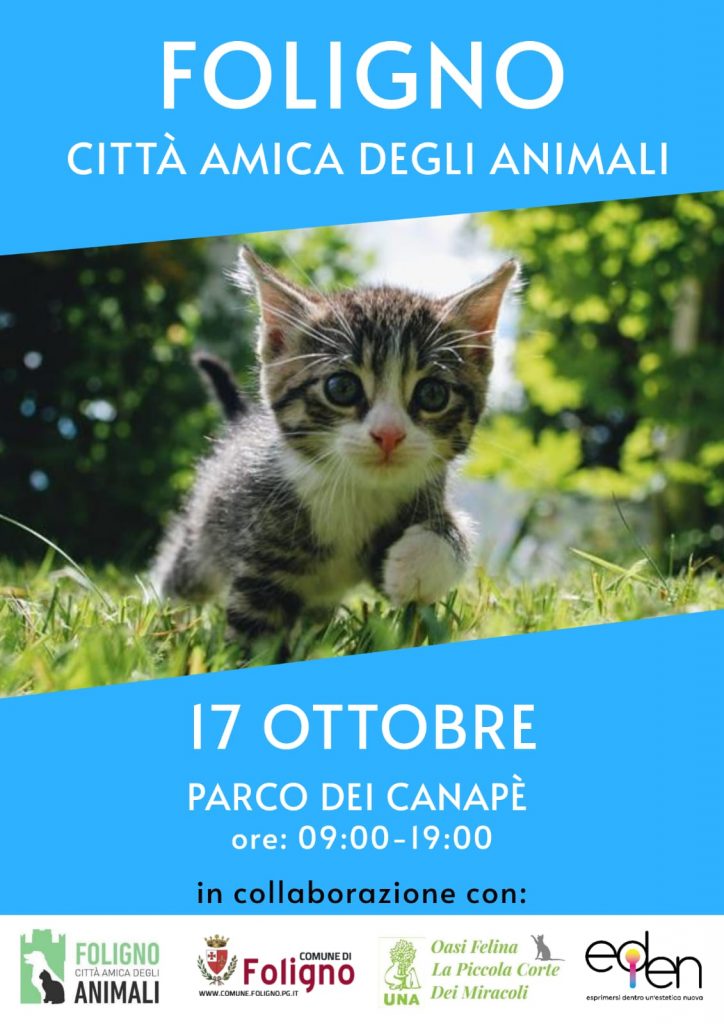 Amici siete prontiii??? La Giornata si svolgerà presso il Parco Dei Canapè di Foligno. L'evento è inserito all'interno della manifestazione FOLIGNO CITTA' AMICA DEGI ANIMALI, organizzata dal Comune Di Foligno. Dalle ore 9.30 e terminerà alle ore 18.00. Nell'arco di queste ore ci sarà, Musica, attività Multidisciplinari per adulti e bambini, con PROGRAMMA INEDITO.
TUTTO IN BASE AL REGOLAMENTO COVID 19.
Per info
Associazione UNA Foligno ODV
Paolo 349-5185656 – Barbara 389-6987357
Per Info
EDEN Creative Group
Giulia 324-0763550 – Sara 320-8028536
COMINCIAMO:
Per l'accoglienza presso il nostro stand ci saranno i volontari dell'Oasi Felina, a vostra disposizione, con Mascherine per chi non è in possesso, Cartelli per la distanza di sicurezza e Gel Igienizzante. In Omaggio 1 gadget ad ogni partecipante.
Non mancherà la Musica, grazie a MARCO AMERICCIONI che sarà con noi e a vostra disposizione per ogni genere musicale e con colonne sonore inerenti alle attività.
Per le Attività? Ci siamo preparati anche per questo, Con la partecipazione di E.D.E.N. CREATIVE GROUP, un gruppo di giovani che hanno il desiderio di comunicare attraverso differenti mezzi di espressione (pittura, fotografia, poesia, etc.).
LABORATORIO DI DISEGNO DAL VERO
Per ragazzi e adulti (condotto da Marcotulli Giulia).
LABORATORIO ESPRESSIVO CREATIVO CON L’ARGILLA “L’ANIMALE TOTEM” *
Per ragazzi e adulti (condotto da Luccioli Sofia).
GRUPPO E.D.E.N.
Federica Falcinelli, Ilaria Mattarelli, Sara Trabalza, Elisabetta Verdura, Giulia Marcotulli, Sofia Luccioli.
Non mancherà il nostro stand con tantissime novità, a cominciare dai cappellini con visiera, borsette per palestra e piscina, nuovi Gadget, Nuove T-Shirt Oasi Felina con tema Gatto, la novità assoluta e in anteprima sono i Nostri Nuovi CALENDARI 2021, realizzati in 2 formati, da parete e da scrivania, con le foto dei nostri Mici protagonisti, come Tema è stato scelto un argomento che colpisce il cuore, come sentimento. Sarete voi, Amici a scoprirlo ...il giorno della presentazione.
Vi aspettiamo.
Sarà una giornata di compagnia, divertimento.